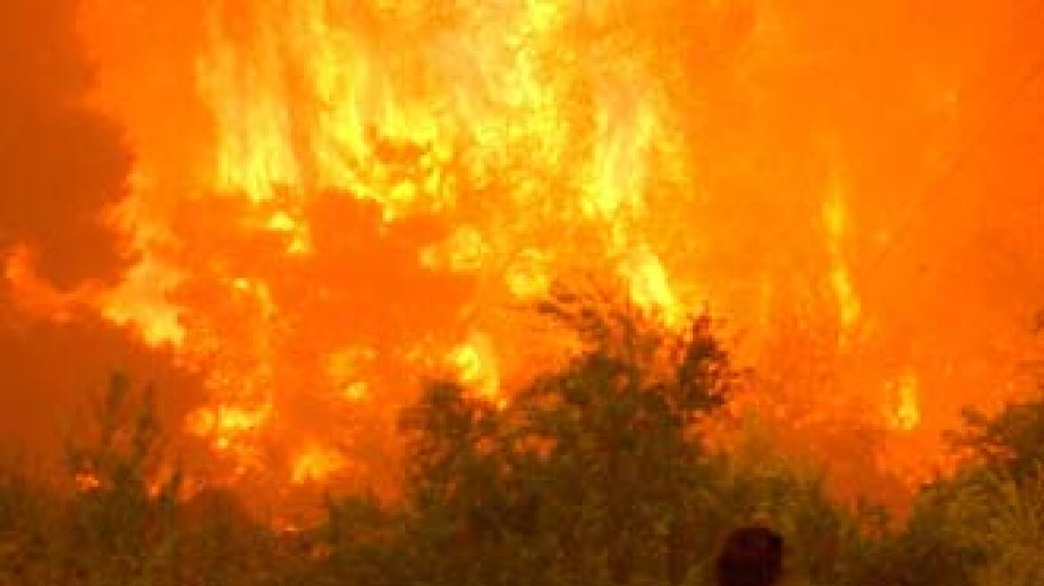 Υπό μερικό έλεγχο η πυρκαγιά στο Γέρακα